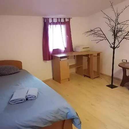In Rovinj/istrien 11648 アパート ロヴィニ