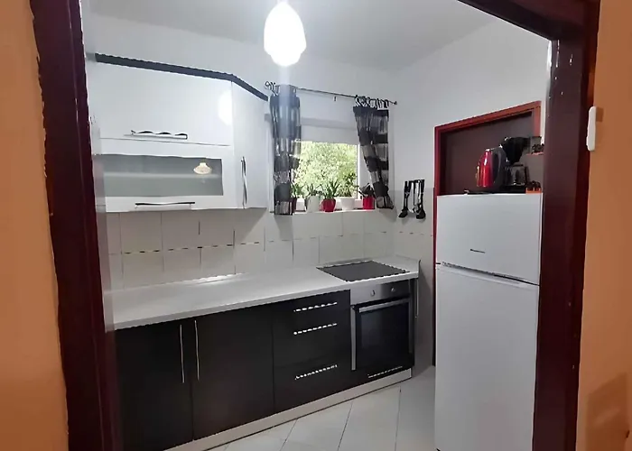 In - Istrien 11648 로비니